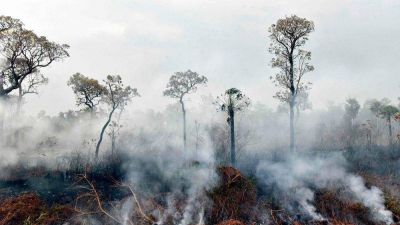 Obispos de Bolivia: Clamor ante la cat�strofe de los incendios en la Amazon�a