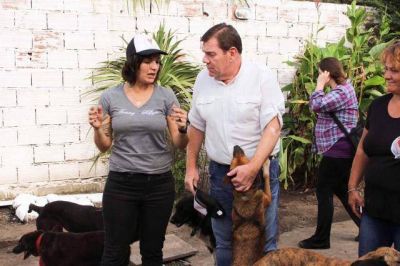 Montenegro: �El Municipio debe hacerse cargo del control de la fauna urbana y del bienestar animal�