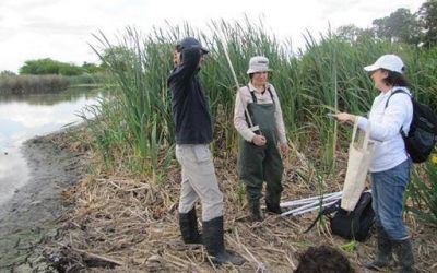 Investigar�n los humedales de la cuenca Matanza � Riachuelo
