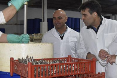 Tasa Portuaria | Que no nos vendan pescado podrido
