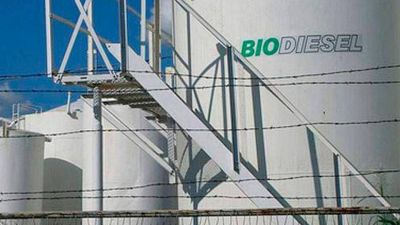 Autorizaron otro aumento del biodiesel