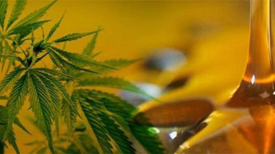 Elogian la decisi�n de ceder a la UNMDP marihuana incautada