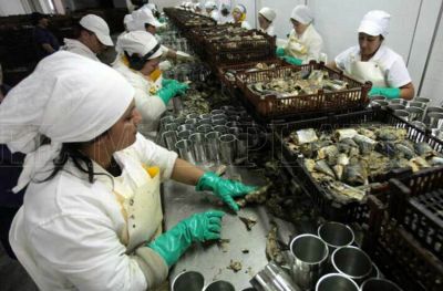 Conservas de pescado: �Estamos trabajando al 30% de la capacidad de otras �pocas�