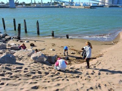 Har�n un nuevo censo de basura en Necochea