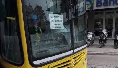 A la crisis de los precios, se suman los factores naturales que acrecientan el desabastecimiento