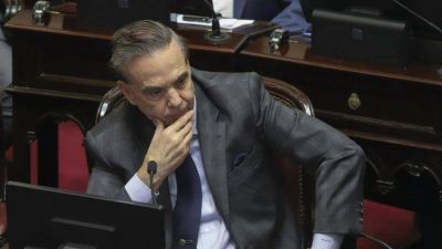 De los candidatos a vicepresidente, Pichetto es el que declar� m�s dinero