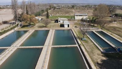 Varias zonas de Maip� sin agua por problemas en el cauce alimentador