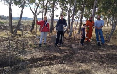 Pol�mica por la decisi�n municipal de deshacer espacios verdes para negocios inmobiliarios