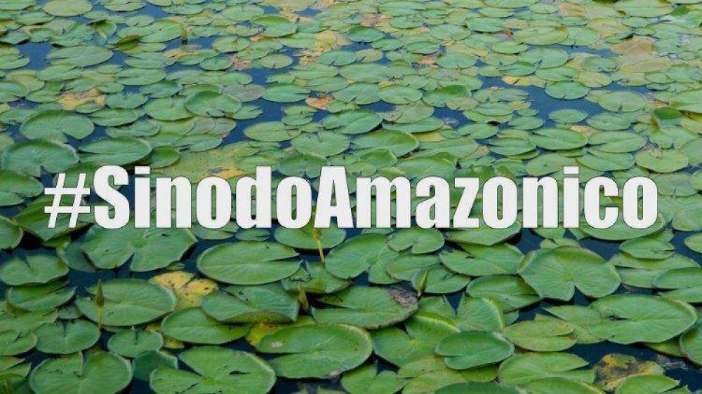 Secretarios especiales del S�nodo: �Por qu� el Amazonas amerita un s�nodo?