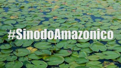 Secretarios especiales del S�nodo: �Por qu� el Amazonas amerita un s�nodo?