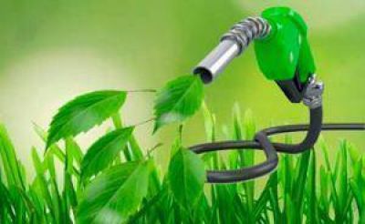 Biocombustibles: culpan a la falta de precios por la reducci�n de compras