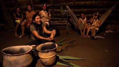 Leyes que protejan a los pueblos originarios y al Amazonas