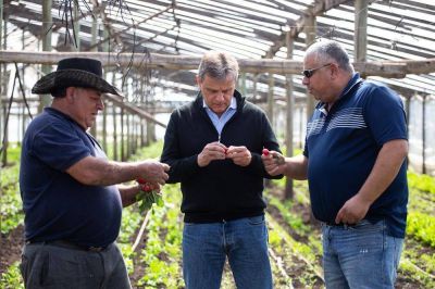 Pulti: �Con la escucha y el trabajo coordinado vamos a apoyar a todos los productores�