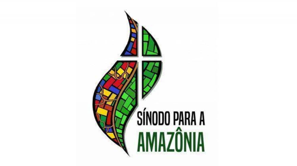 Organizaciones catlicas apoyan el Snodo para la Amazona