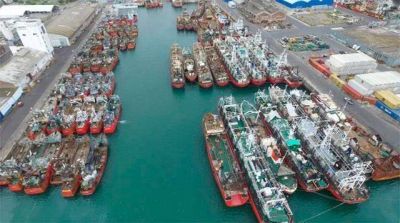 Puerto: �Tenemos al menos un 40% de marineros desocupados, mucha gente parada�
