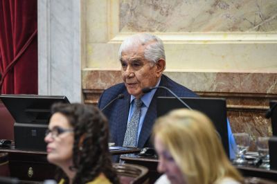 Las claves del proyecto de Pereyra para �blindar� Vaca Muerta
