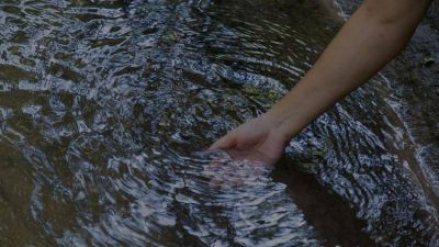 3 de cada 10 personas en el mundo no tienen agua potable: c�mo solucionar esta problem�tica