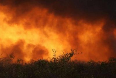 Pese a las �ltimas lluvias, sigue siendo alto el riesgo de incendios