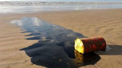 Misterioso derrame de crudo est� matando a las tortugas de Brasil