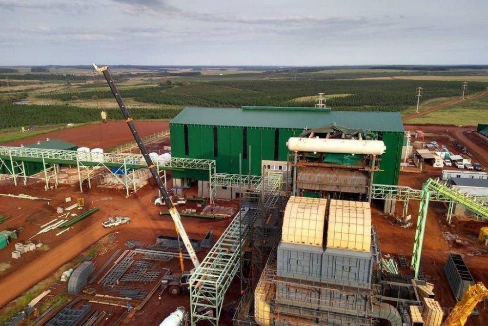 La Nacin autoriz a la planta de biomasa de Corrientes a vender energa a Cammesa