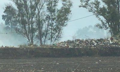 El Municipio defendi� el nuevo basural de la ruta 25: �Es un centro de transferencia de ramas�