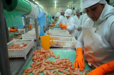 S�lo el 23% de las empresas marplatenses exporta productos o servicios