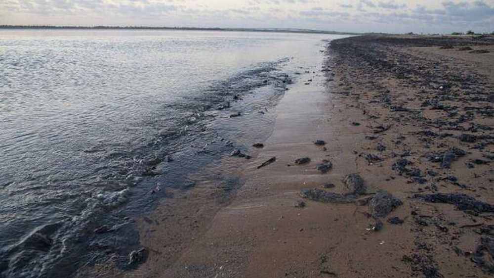 Retiran ms de 200 toneladas de residuos de petrleo en playas brasileas