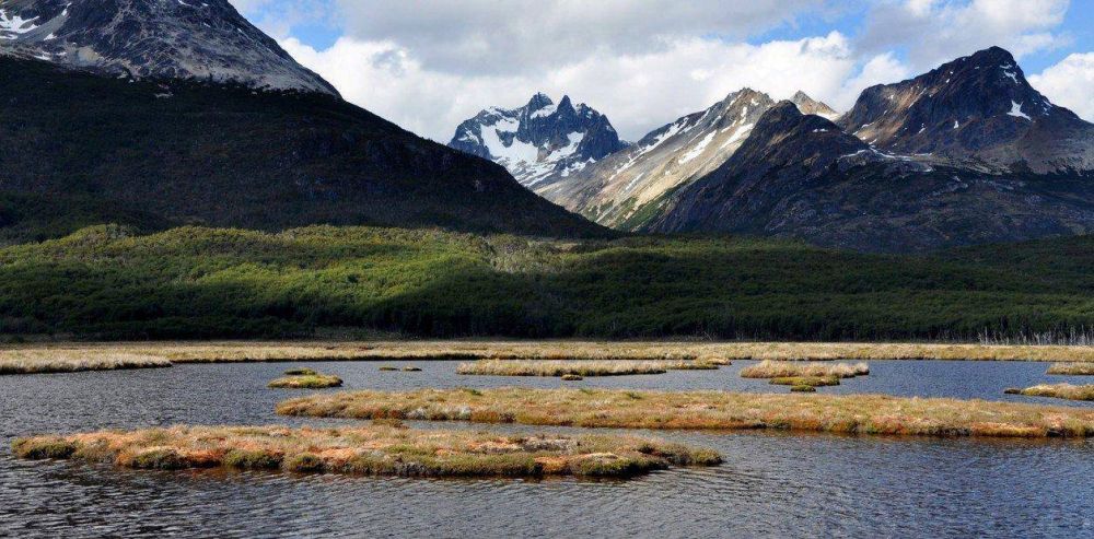Concurso de Agua, el desaf�o de crear conciencia y ayudar