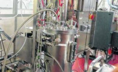 Estudian el potencial local de los biocombustibles 2.0