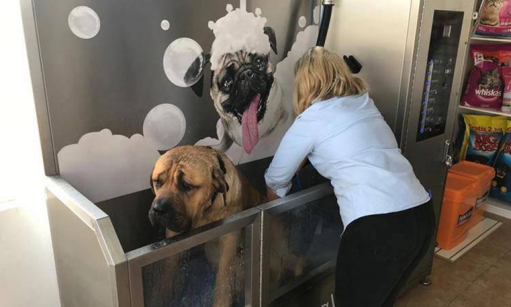 Se instal el primer sistema de auto lavado de mascotas a ficha en una Estacin de Servicio uruguaya