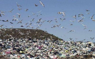 Cruces por la baja en el env�o de basura de La Plata a la Ceamse