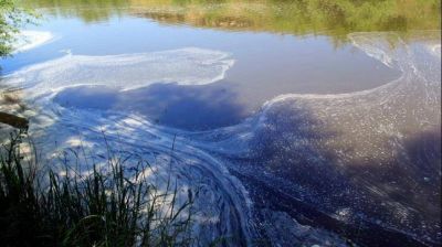 Ambientalistas publicaron im�genes de la contaminaci�n en el R�o Quequ�n