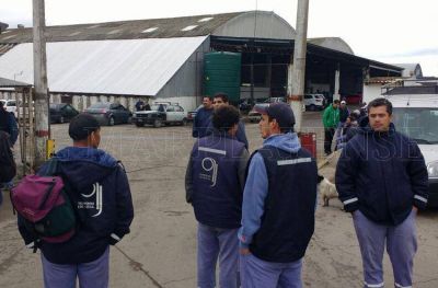 Recolecci�n: el municipio volvi� a multar a la 9 Julio