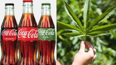 El nuevo posible mercado de Coca Cola: �con cannabis!