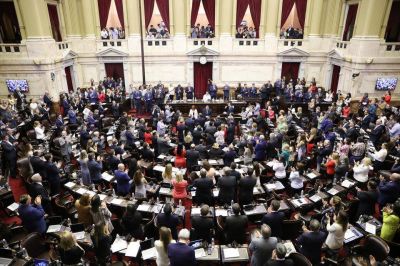 Todos los bloques salvo Cambiemos repudiaron el golpe en Bolivia