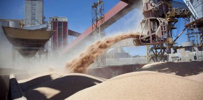 Los exportadores le ofrecen a Alberto Fern�ndez un �shock� de divisas a cambio de beneficios fiscales