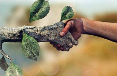 Econer, el invento para generar energ�as renovables que rompi� con las estructuras y es m�s accesible