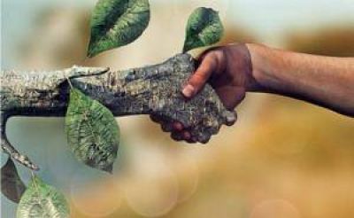 Econer, el invento para generar energ�as renovables que rompi� las estructuras