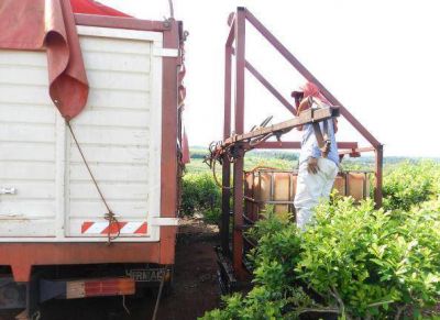Ecolog�a prohibi� el ingreso a Misiones de desechos de establecimientos av�colas