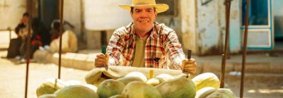 Se van acomodando los melones
