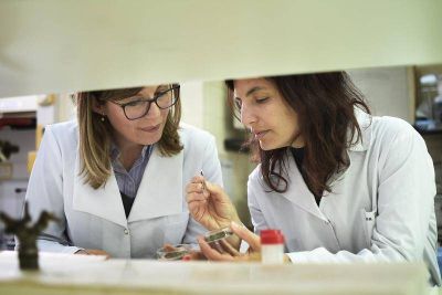 Cient�ficos de La Plata desarrollan un fertilizante ecol�gico a partir de desechos de la industria yerbatera