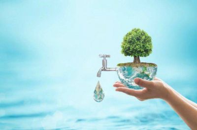 Dos empresas misioneras revelan c�mo cuidan los recursos h�dricos en su producci�n