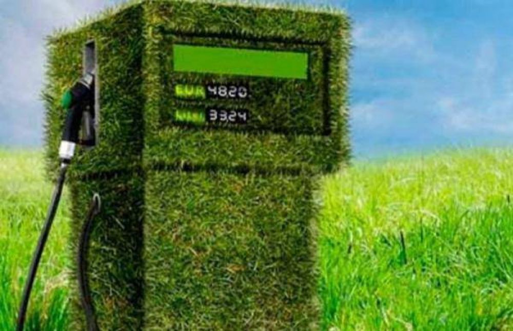 Biocombustibles, una fuente de energa renovable en constante evolucin