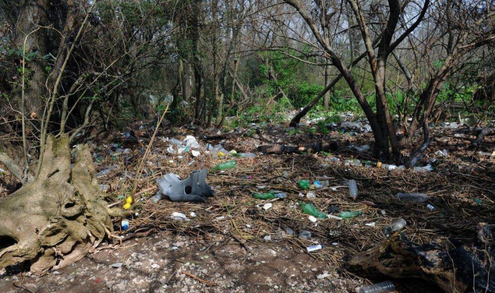 Quilmes: el 83% de los residuos en la selva marginal es de plstico