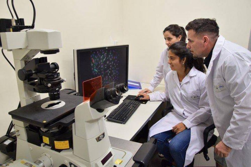 Expertos argentinos lograron un importante hallazgo sobre la estructura molecular del Mal de Parkinson
