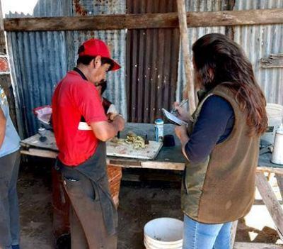 Detectan en la informalidad laboral a 8 trabajadores dedicados a la esquila en Santa Cruz
