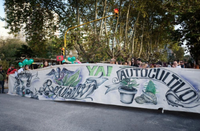 Cannabis medicinal: trabas modernas para un remedio antiguo