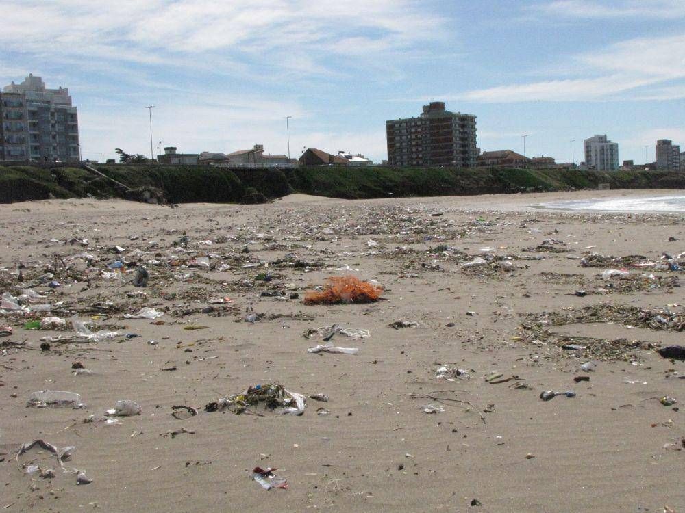 Ms del 80% de los residuos encontrados en las playas bonaerenses son plsticos