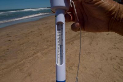 Comenz� la medici�n de indicadores en playas de Mar del Plata