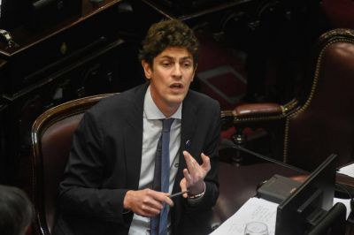 Lousteau, el duro que no pudo frenar la sesi�n en el Senado